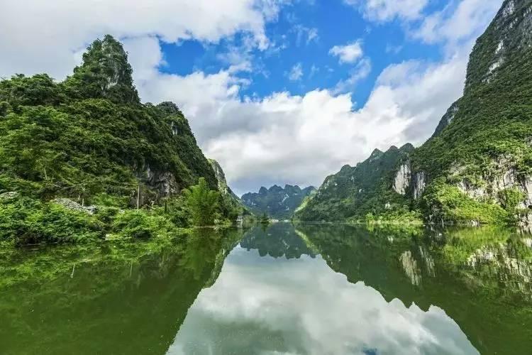 植物大战僵尸10