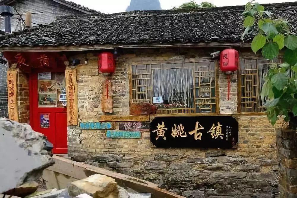冷知识分享平台——现在的家里适合养一些什么样的花?知多少?
